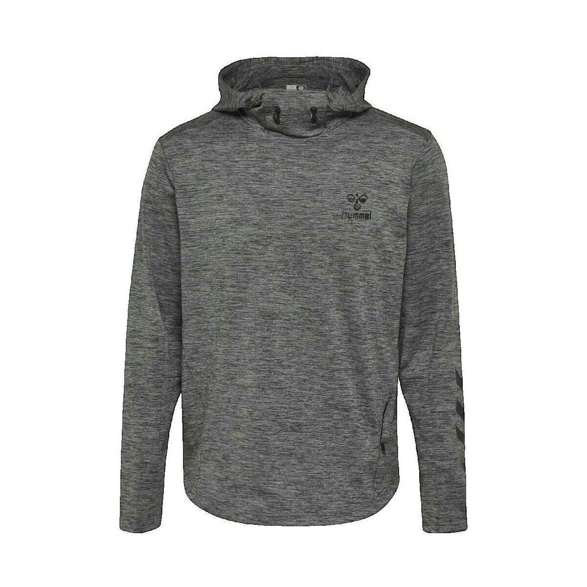 hummel Îmbracaminte Sweat-shirt Aston Hoodie