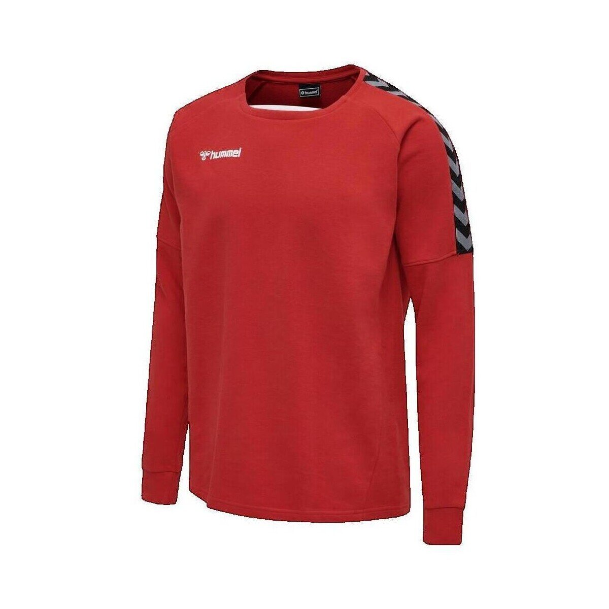 hummel Îmbracaminte Sweat-shirt Authentic Training