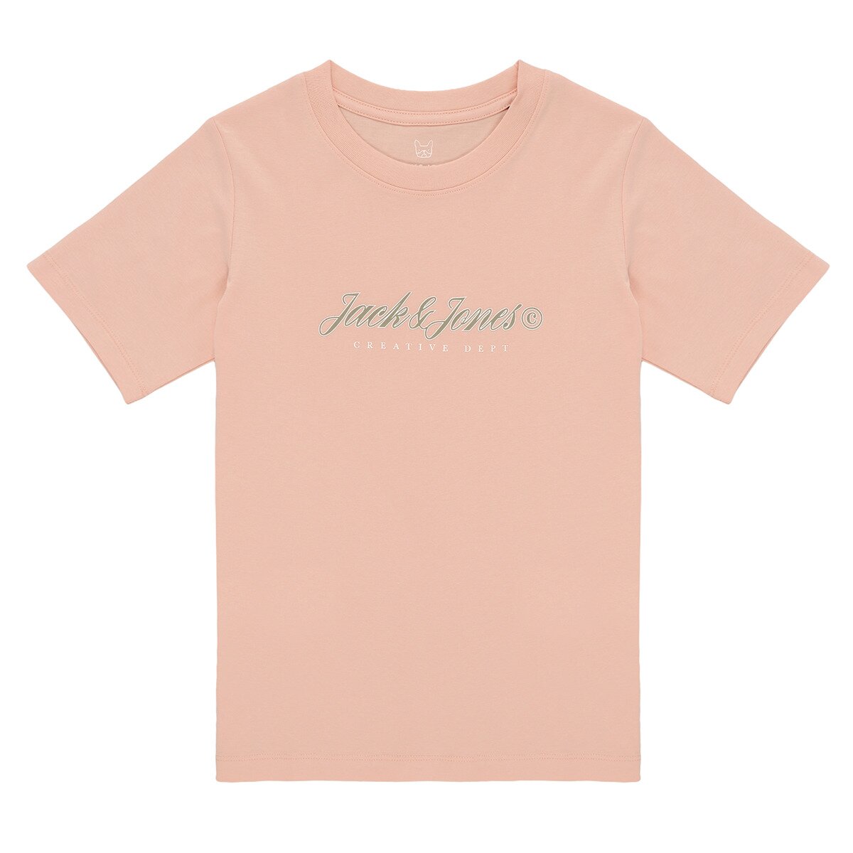 Jack & Jones Îmbracaminte JORMONTAUK TYPE FRONT TEE