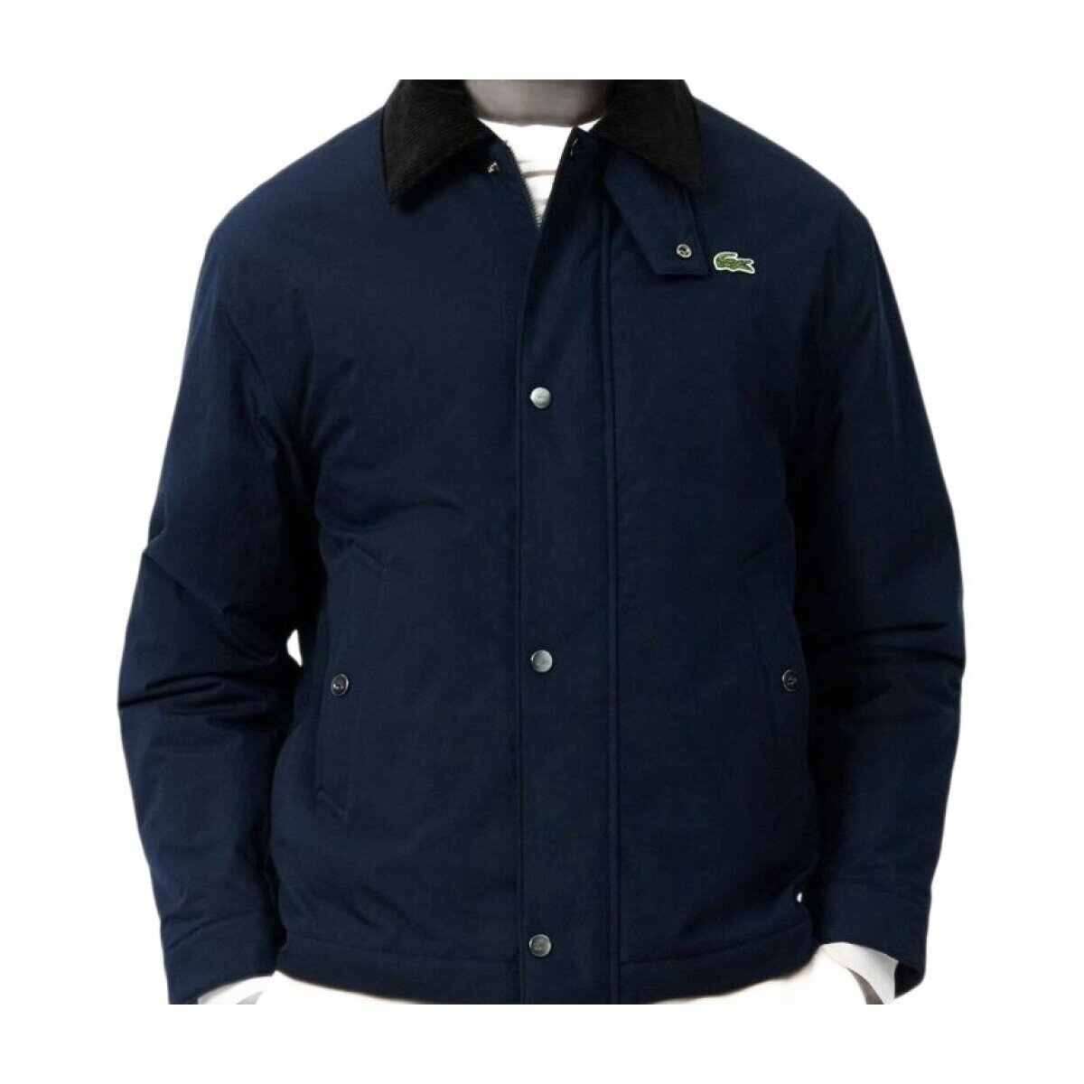 Lacoste Îmbracaminte Bh8707 Short Jackets