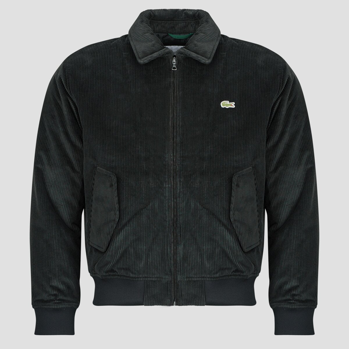 Lacoste Îmbracaminte Blouson aviateur rembourré en velours côtelé