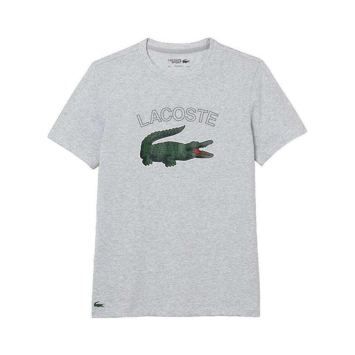 Lacoste Îmbracaminte T-shirt gris pour homme