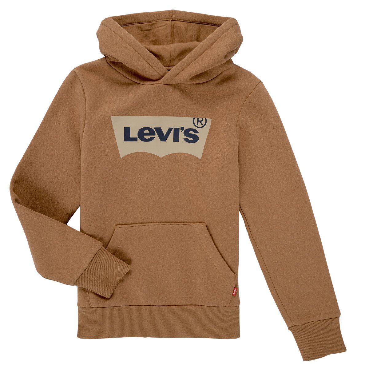 Levi's Îmbracaminte BATWING SCREENPRINT HOODIE