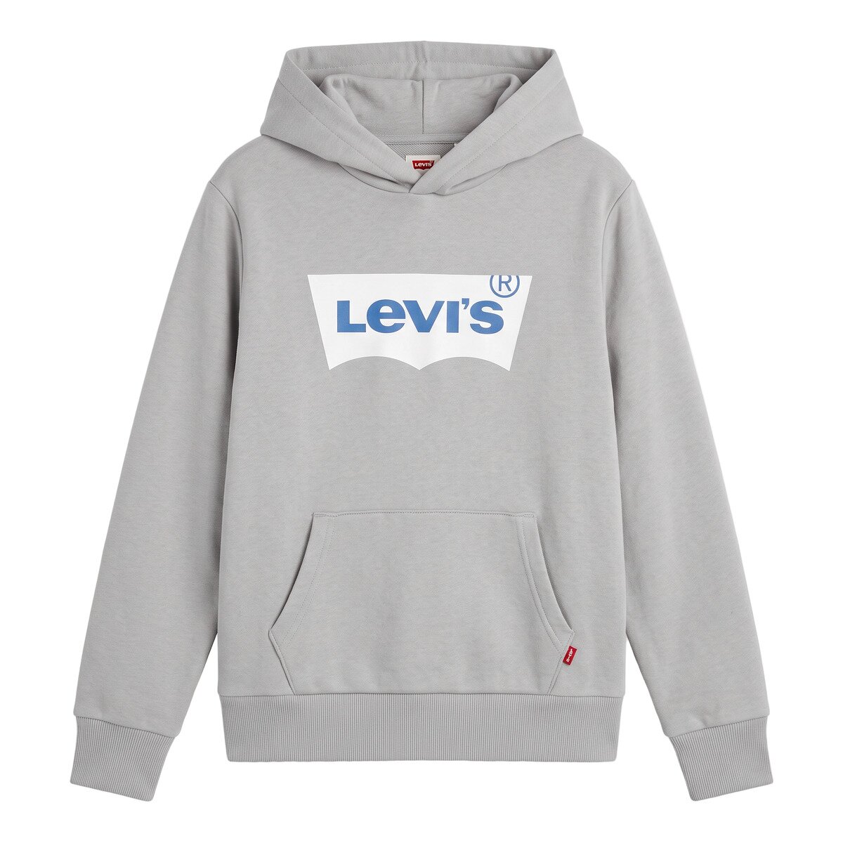 Levi's Îmbracaminte BATWING SCREENPRINT HOODIE