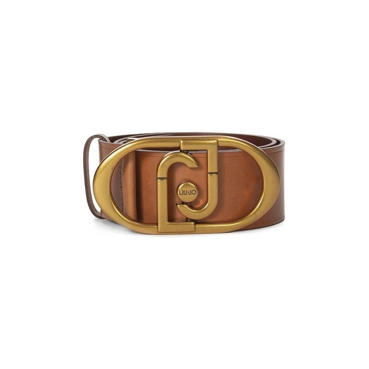 Liu Jo Accesorii textile AA5243P0309BRAN