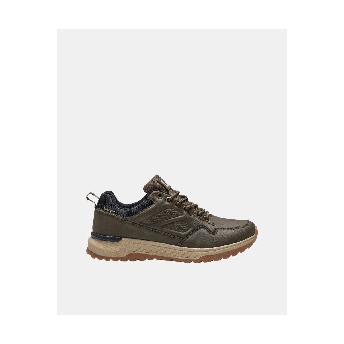 Lois Pantofi 64553