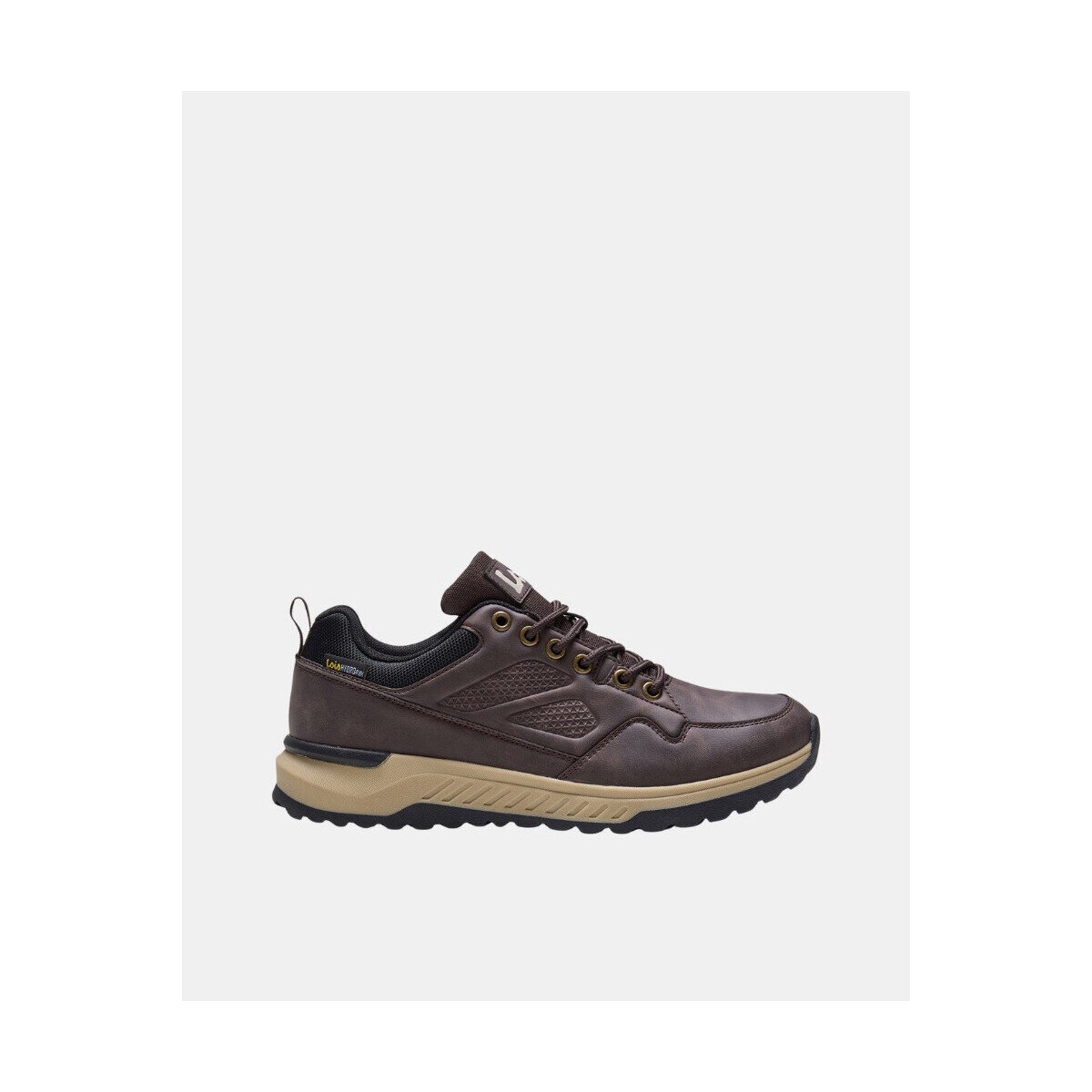 Lois Pantofi 64553