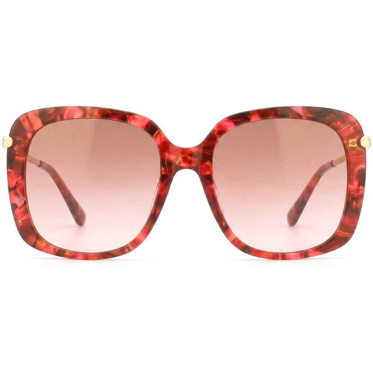 Longchamp Ceasuri & Bijuterii LO616S