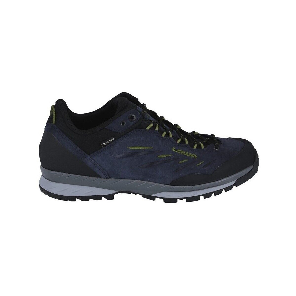 Lowa Pantofi Delago Low Gtx