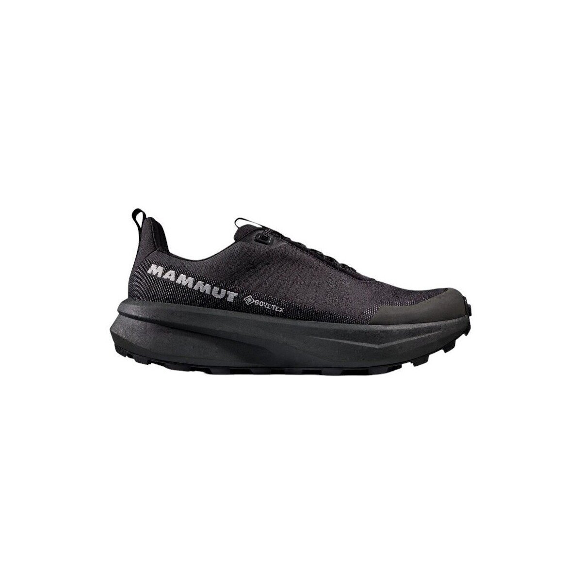 Mammut Pantofi Aenergy Mtn Low Gtx