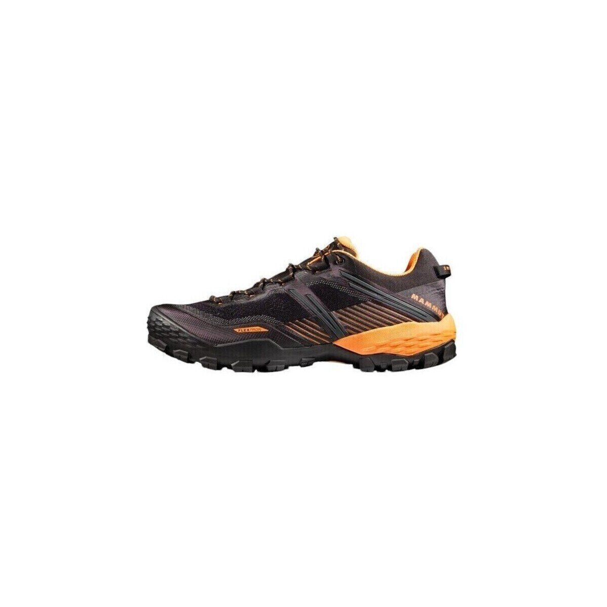 Mammut Pantofi Ducan Ii Low Gtx