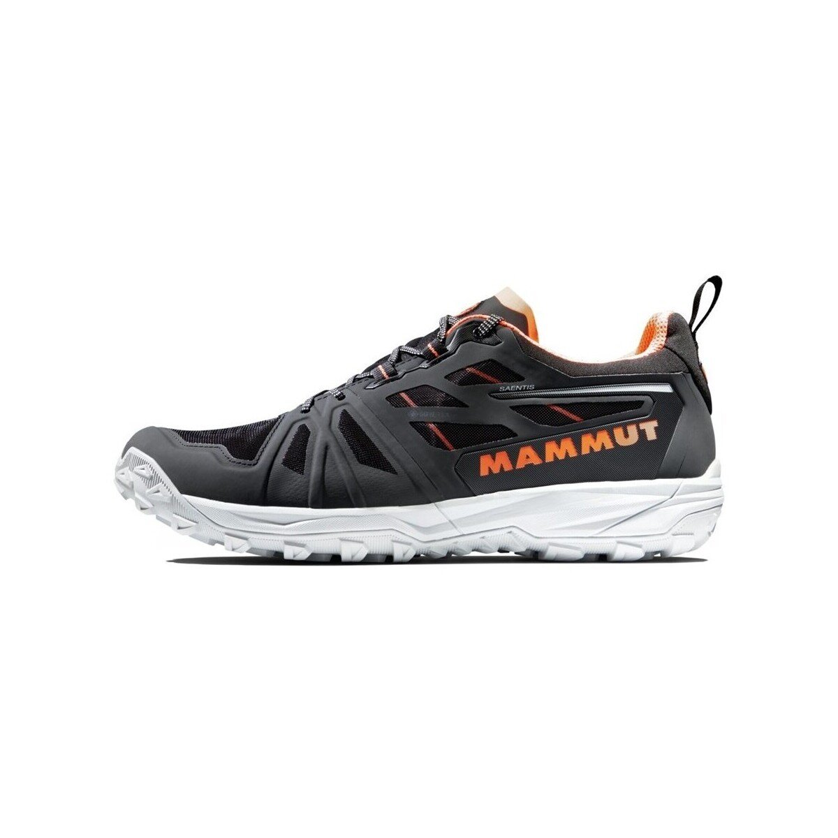Mammut Pantofi Saentis Low Gtx