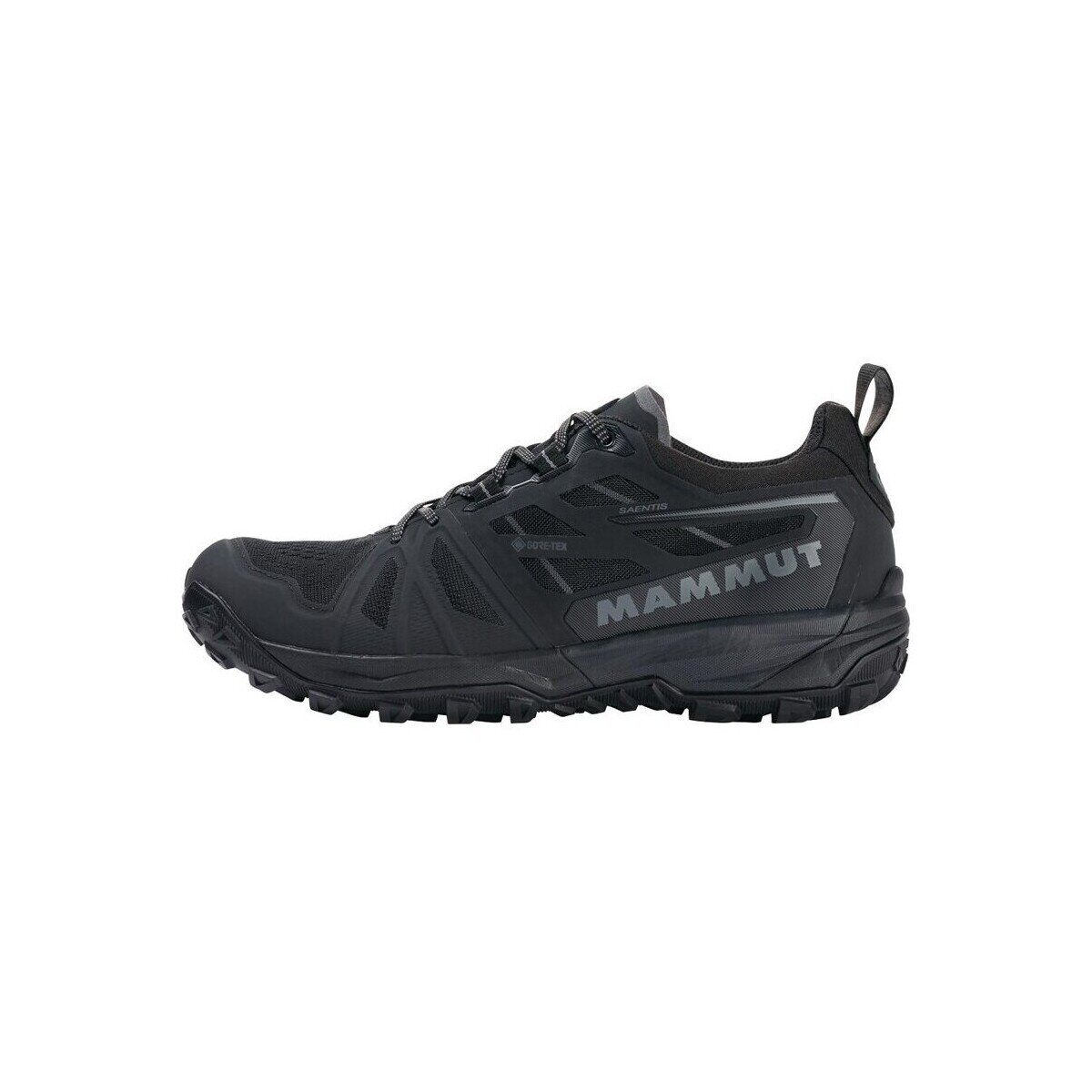 Mammut Pantofi Saentis Low Gtx