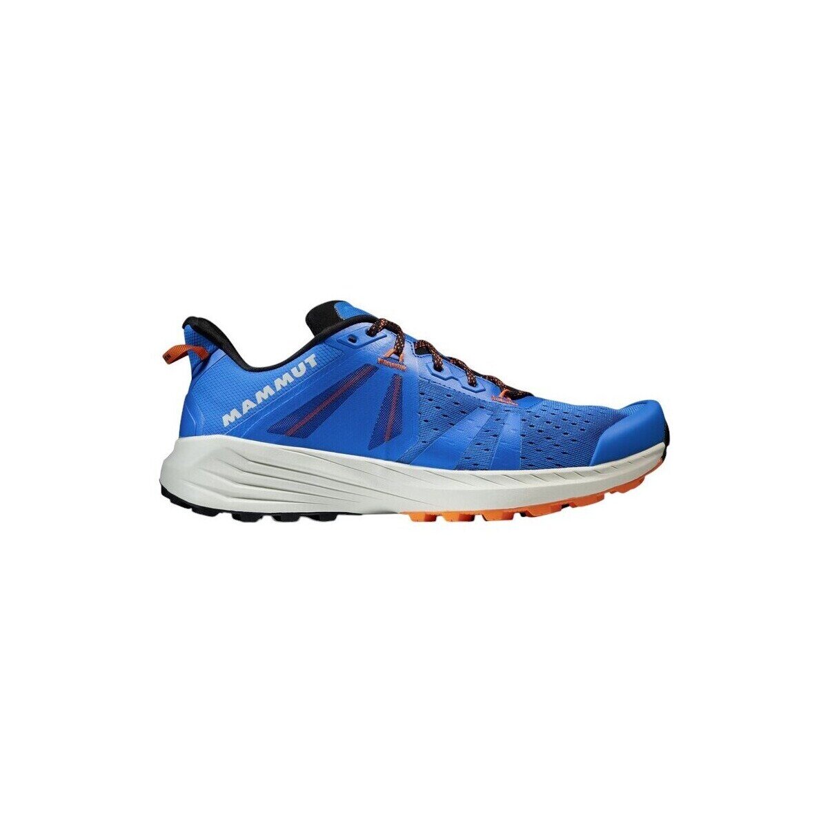 Mammut Pantofi Saentis Tr Low