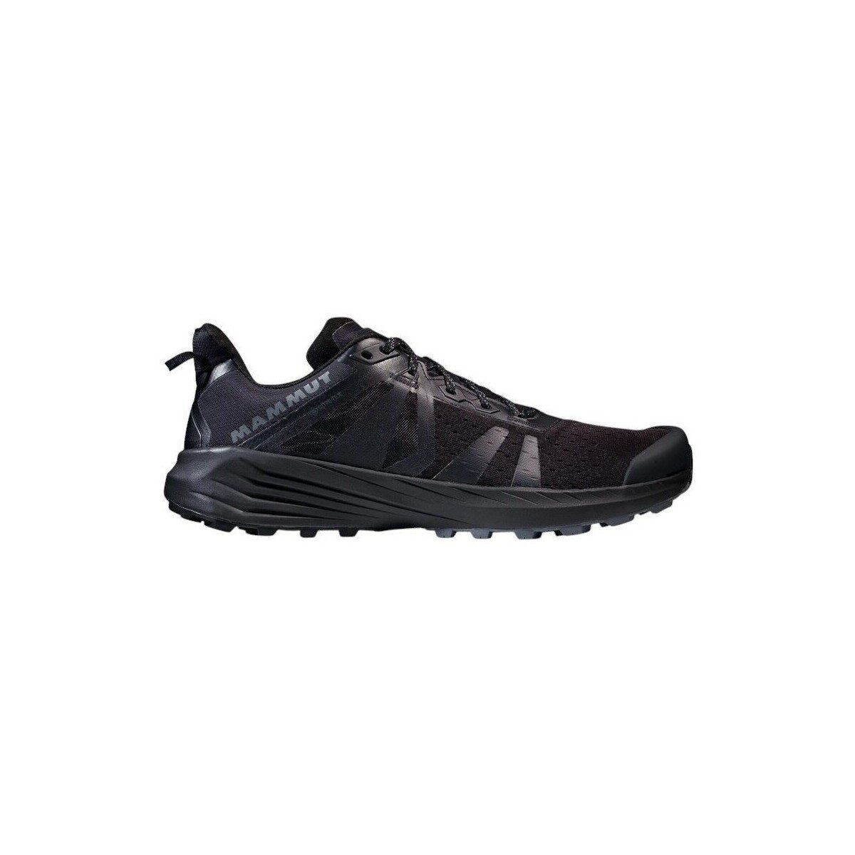Mammut Pantofi Saentis Tr Low Gtx
