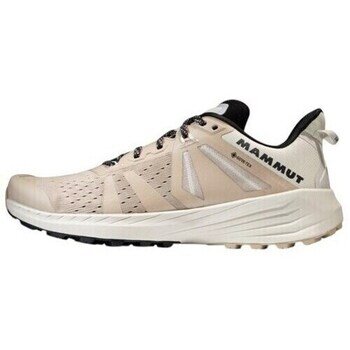 Mammut Pantofi Saentis Tr Low Gtx