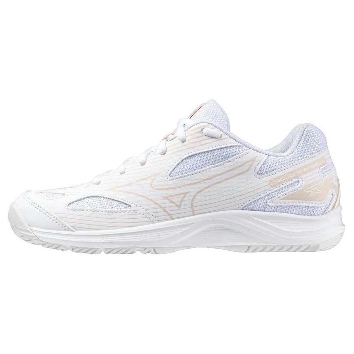 Mizuno Pantofi Cyclone Speed 4