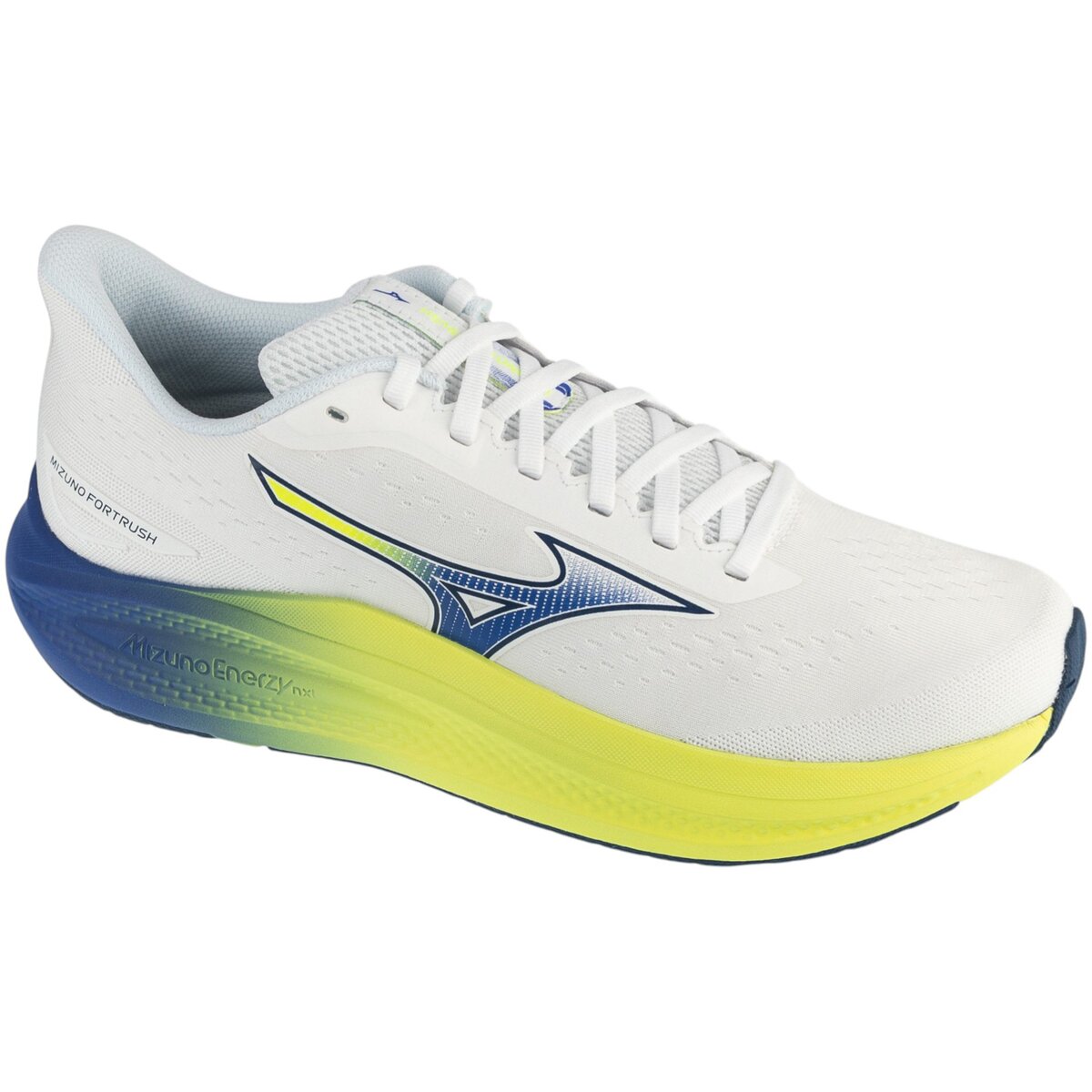 Mizuno Pantofi Fortrush