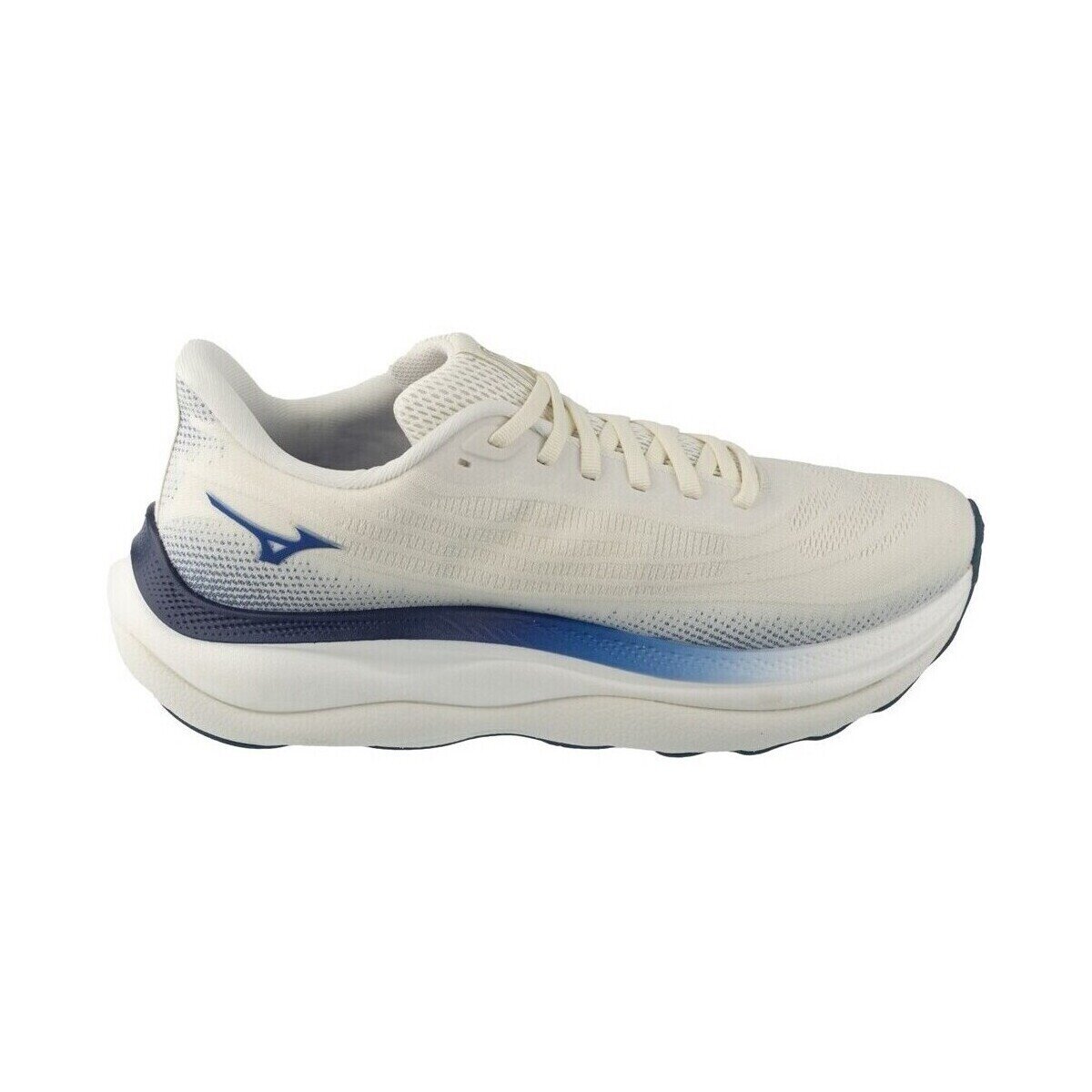 Mizuno Pantofi J1GC250251