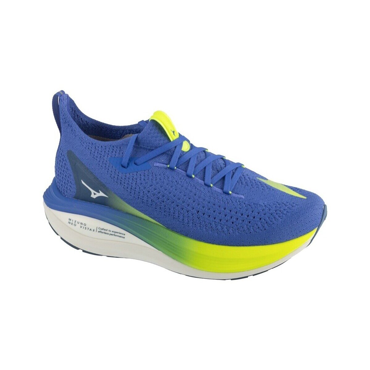 Mizuno Pantofi J1GC253451