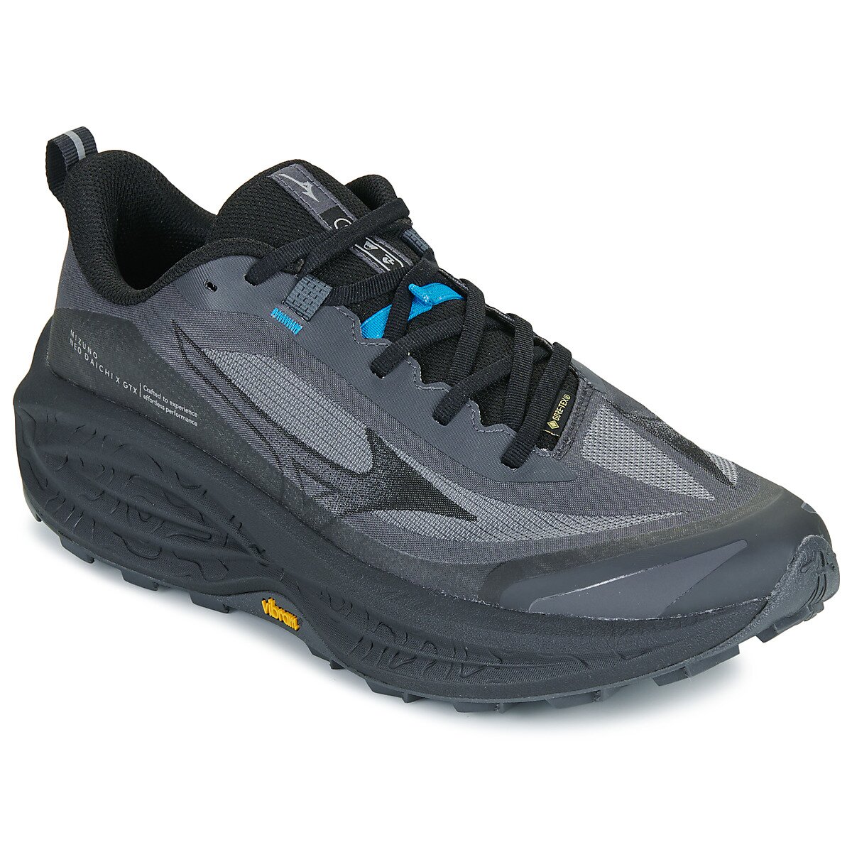 Mizuno Pantofi NEO DAICHI 10 GTX
