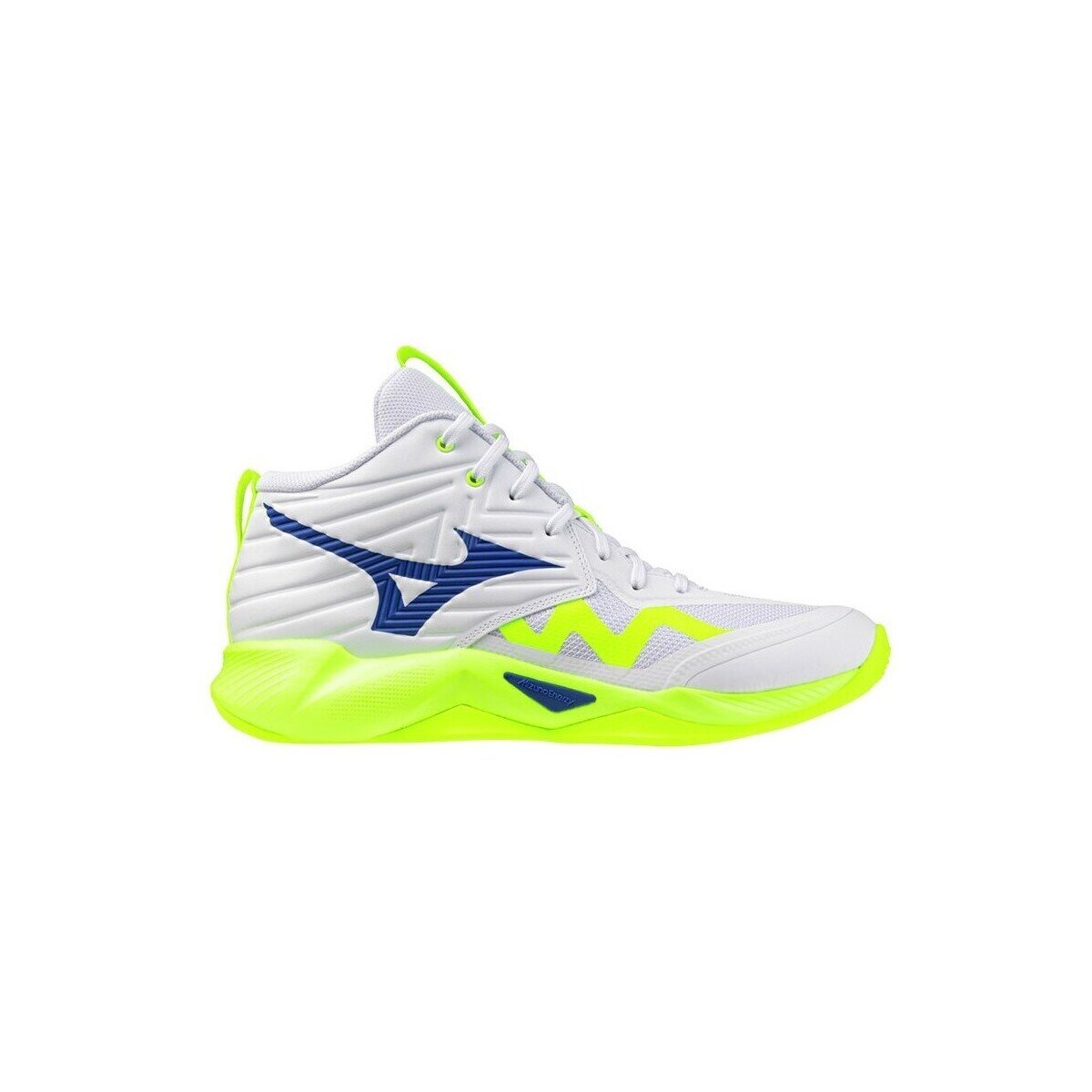 Mizuno Pantofi V1GA254539