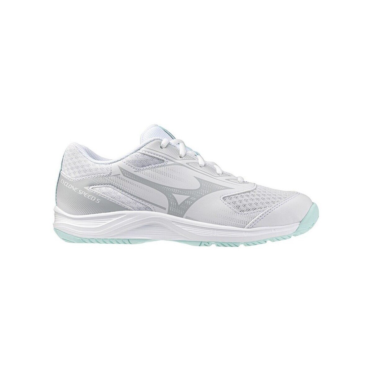 Mizuno Pantofi V1GC258045