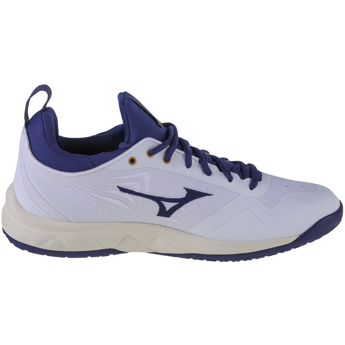 Mizuno Pantofi Wave Luminous 2