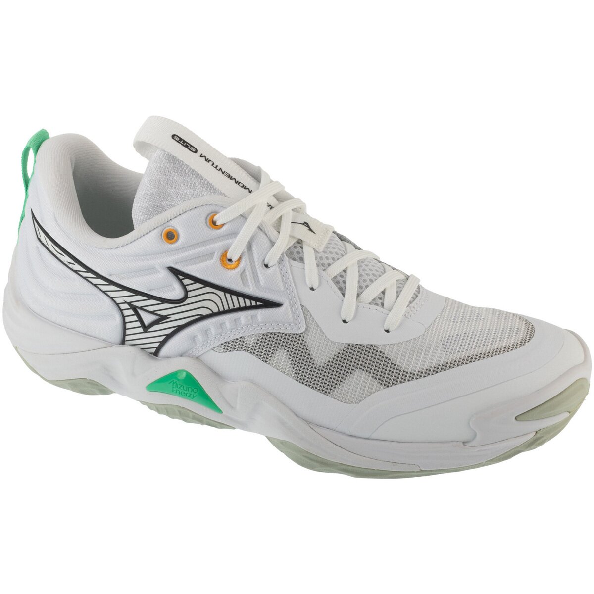 Mizuno Pantofi Wave Momentum Elite