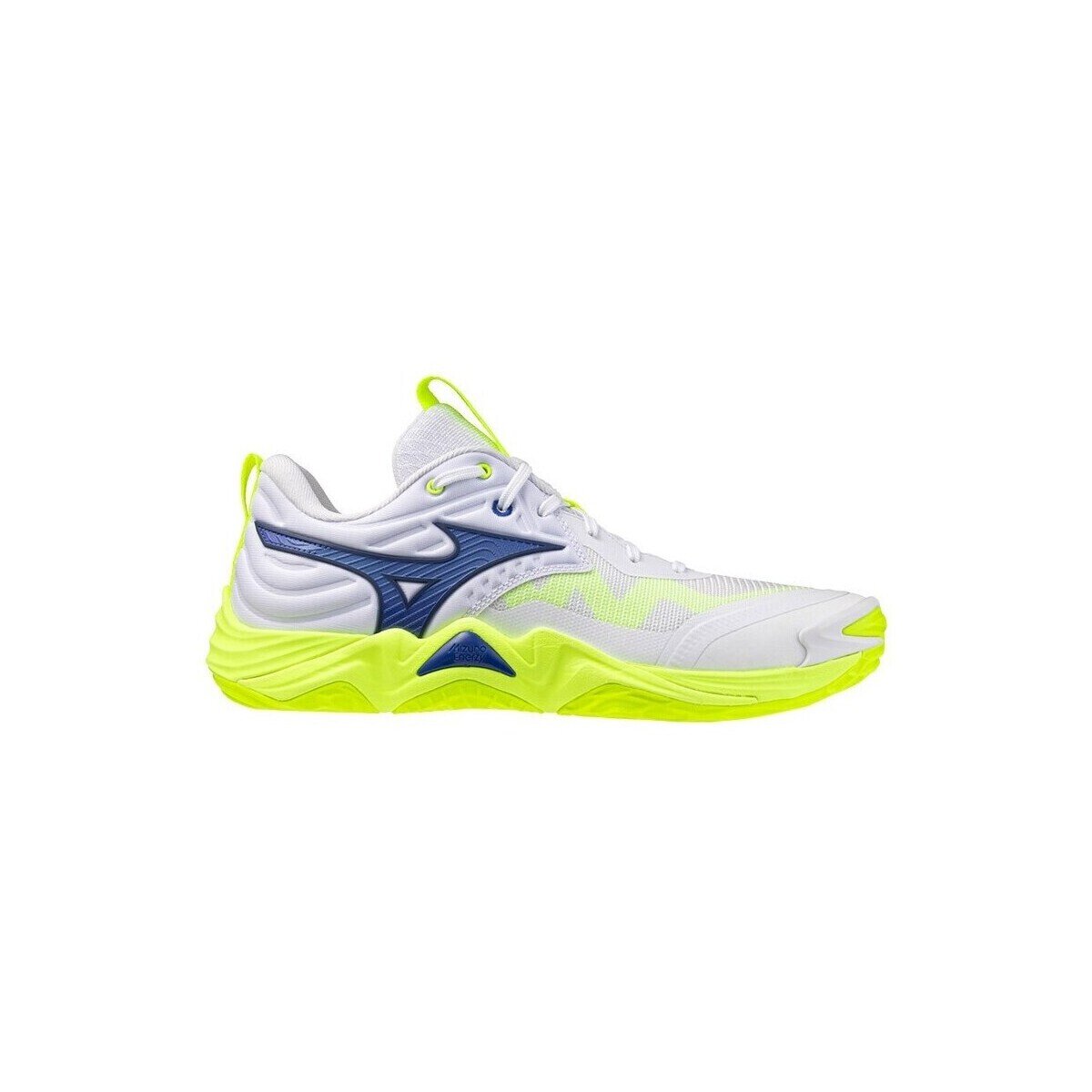 Mizuno Pantofi Wave Momentum Elite