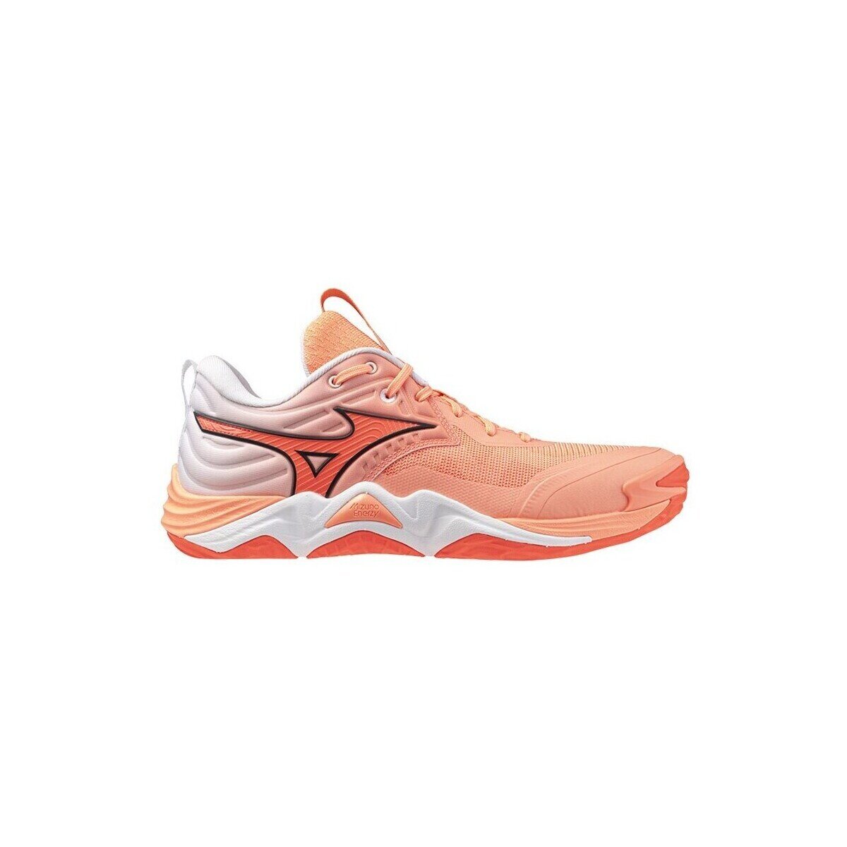 Mizuno Pantofi Wave Momentum Elite