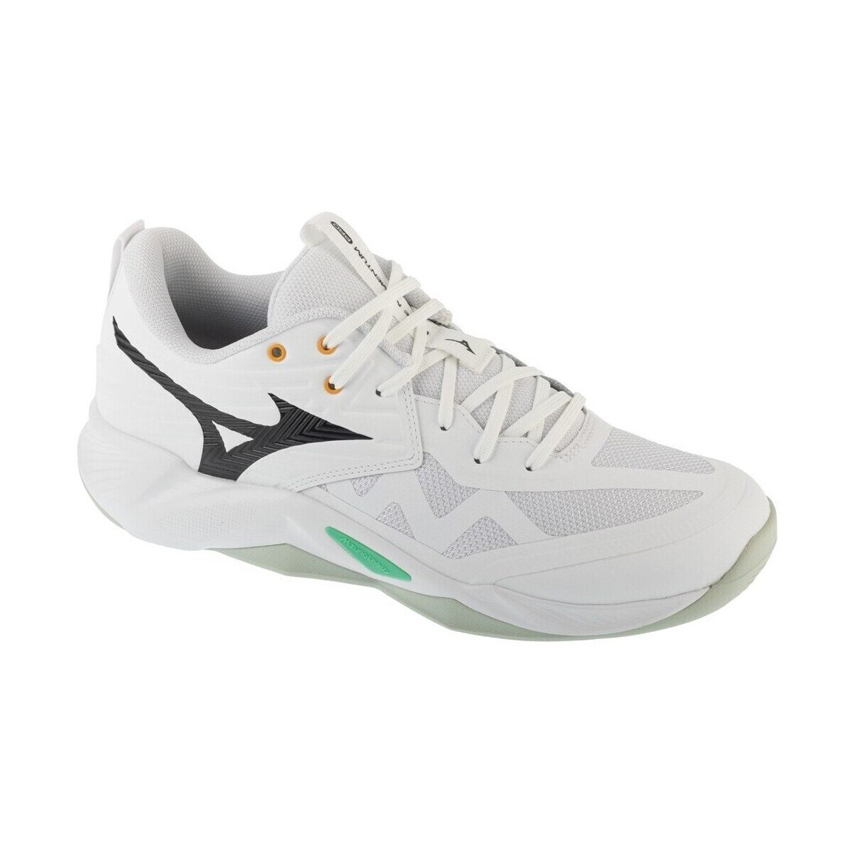 Mizuno Pantofi Wave Momentum Pro