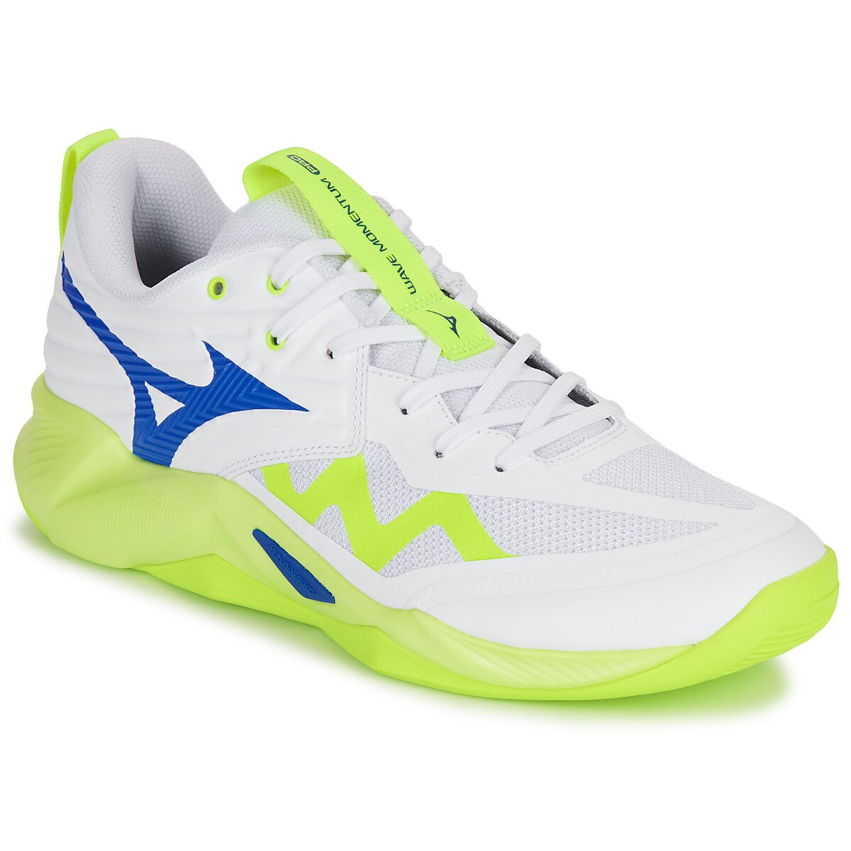 Mizuno Pantofi WAVE MOMENTUM PRO