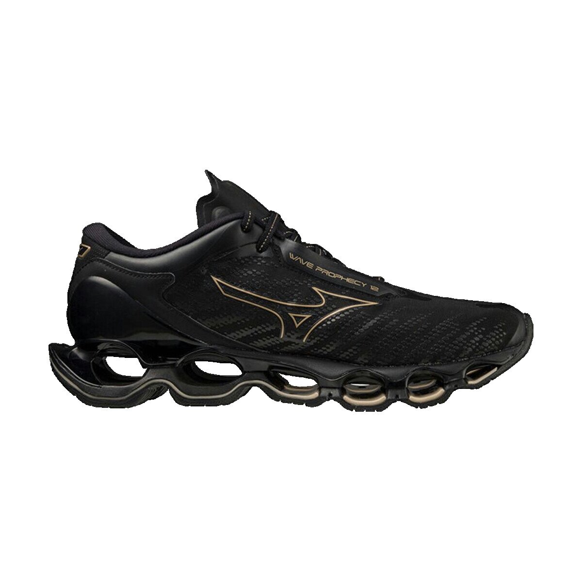 Mizuno Pantofi Wave Prophecy