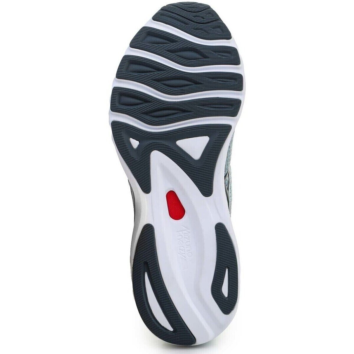 Mizuno Pantofi Wave Sky 5 J1GC210224
