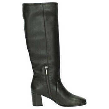 Moda Bella Pantofi -