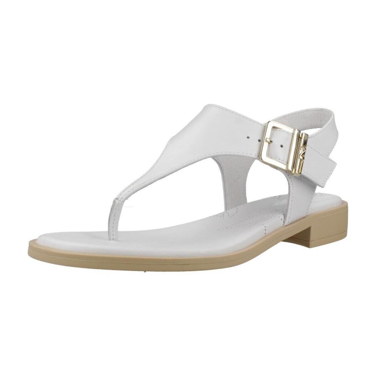NeroGiardini Pantofi E513405d