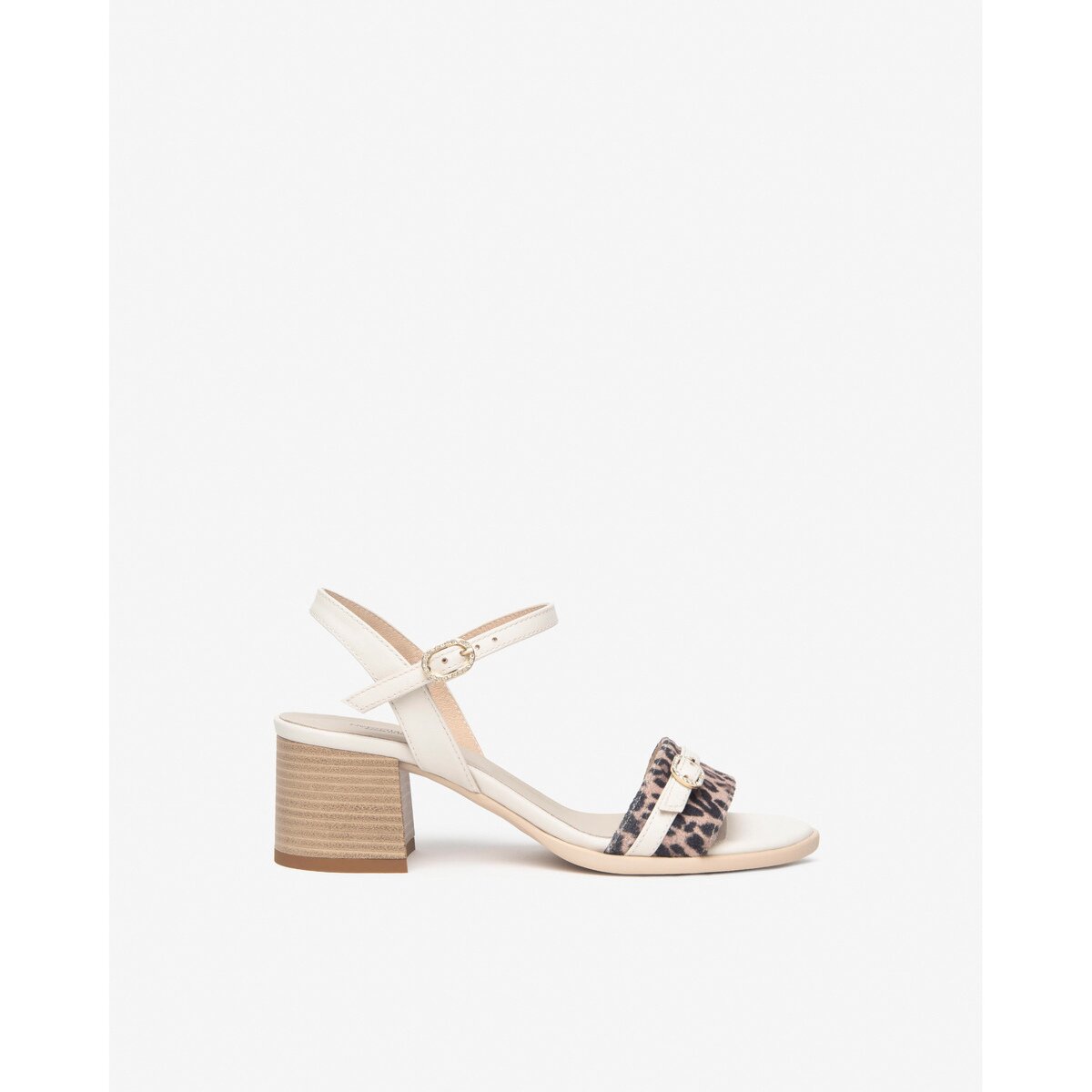 NeroGiardini Pantofi E513436D