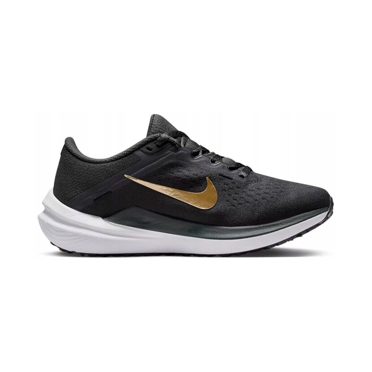 Nike Pantofi Air Winflo 10