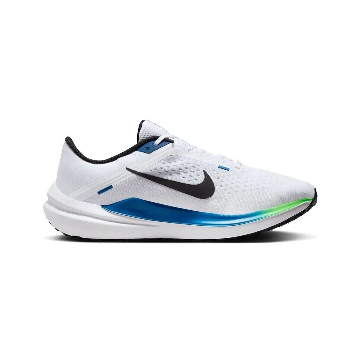 Nike Pantofi Air Winflo 10