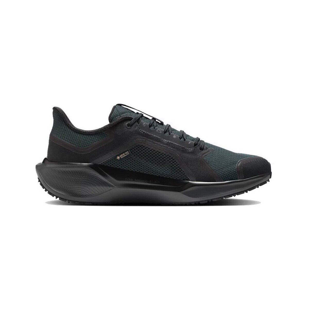 Nike Pantofi Air Zoom Pegasus 41 GTX