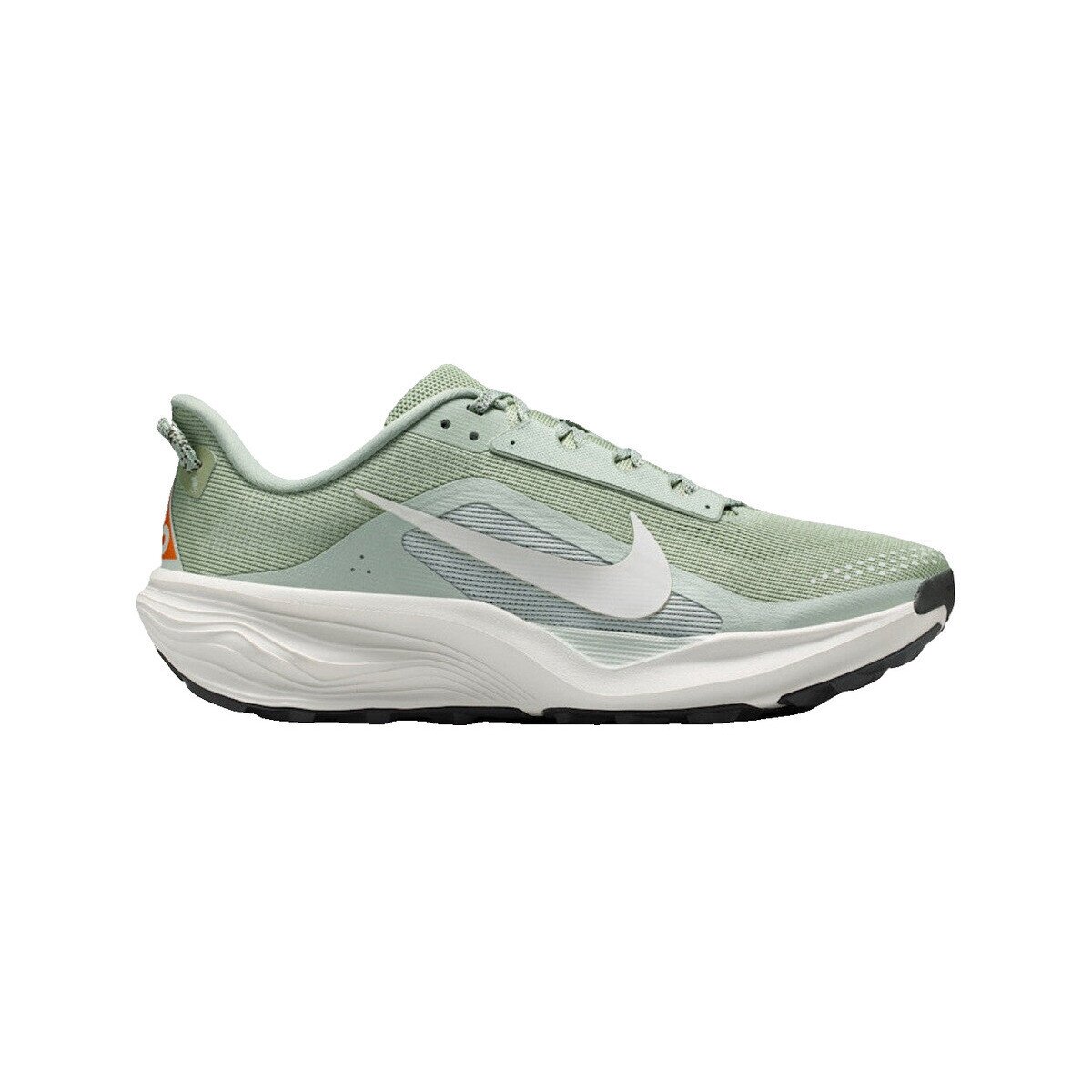 Nike Pantofi Chaussures de running acg pegasus trail maille respirante