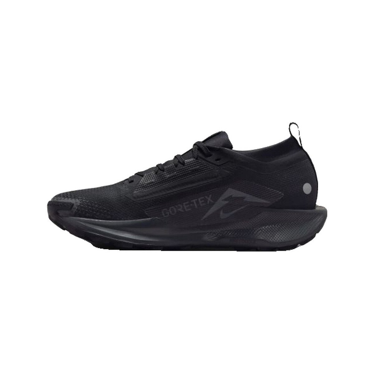 Nike Pantofi Chaussures de running pegasus trail 5 imperméables