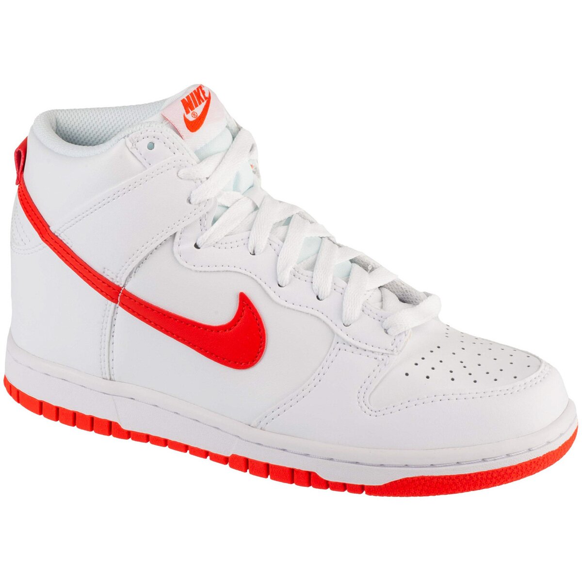 Nike Pantofi Dunk High Gs
