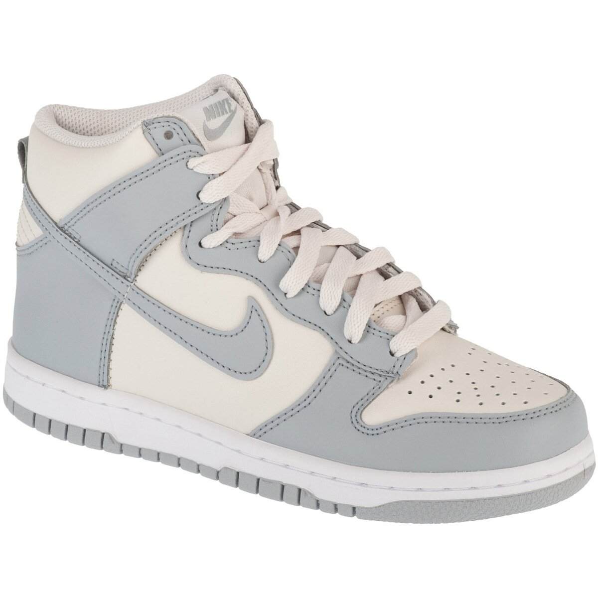 Nike Pantofi Dunk High Gs