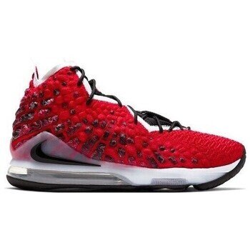 Nike Pantofi Lebron Xvii