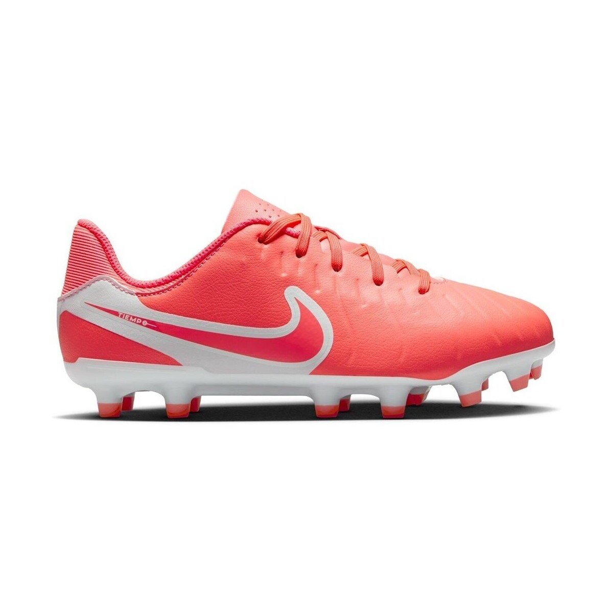 Nike Pantofi Legend 10 Academy