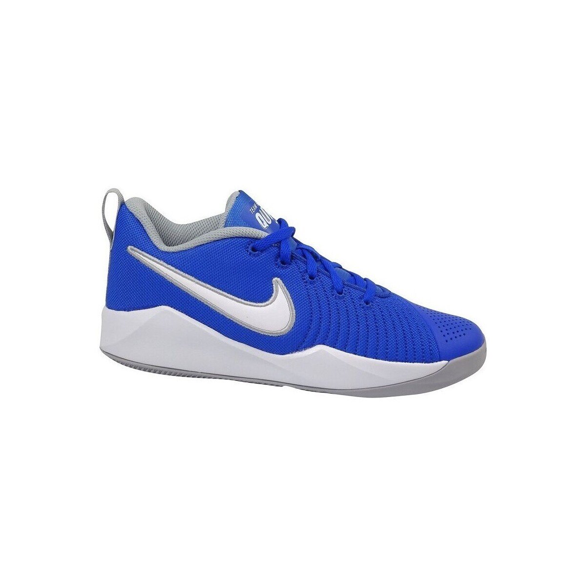 Nike Pantofi Team Hustle Quick 2 GS