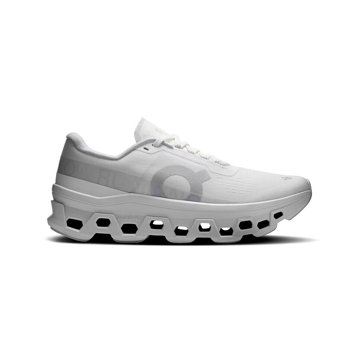 On Pantofi 3WF30481200