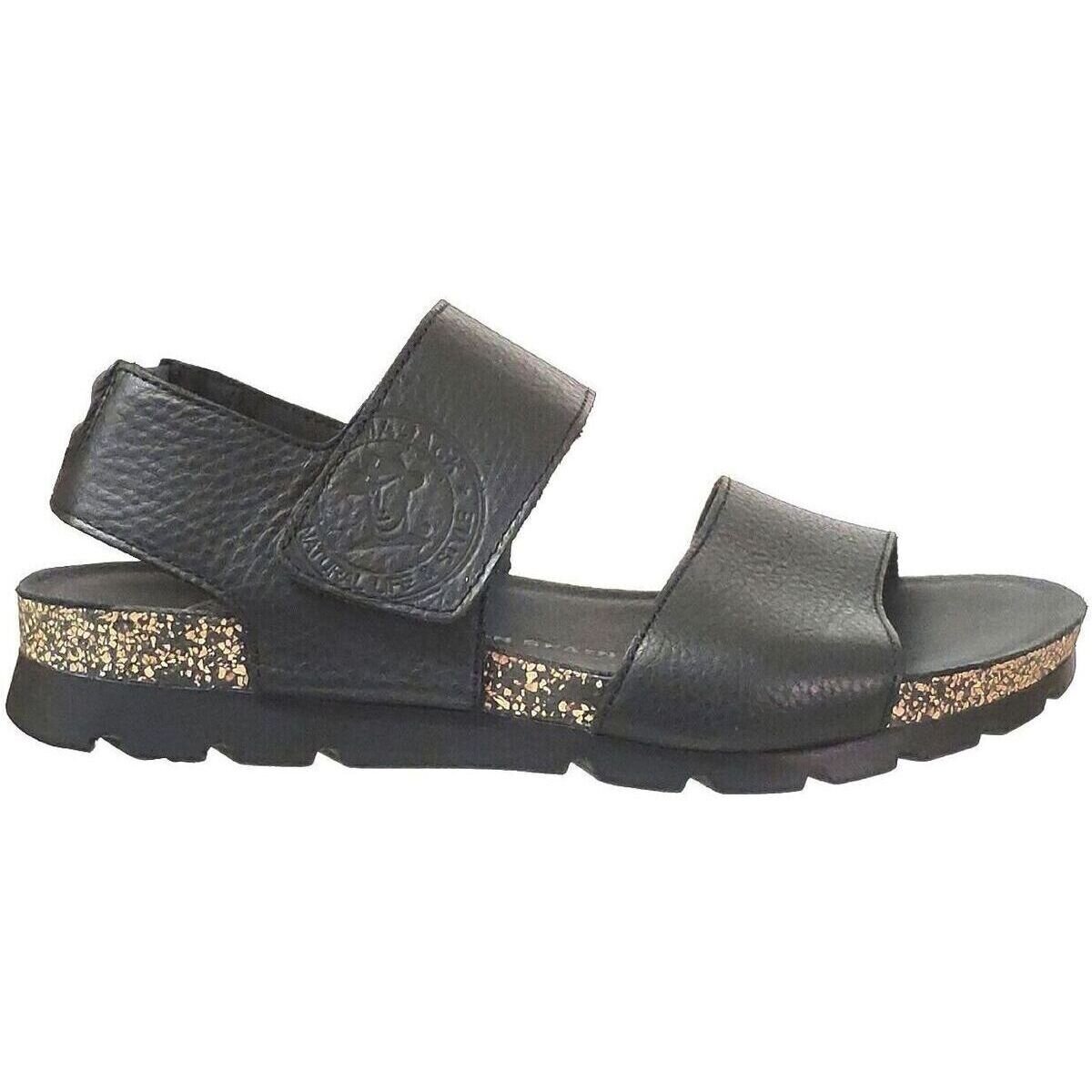 Panama Jack Pantofi Smith